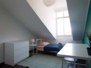 Single Room FLAT X X3 Single Room FLAT X X3