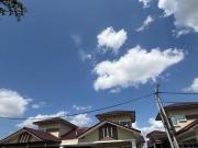 Single Storey Cluster House For Rent