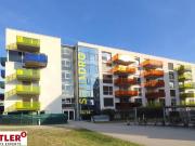 Single Traum! Modern, ruhig und toll gelegen!