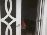 Single well furnished room for rent