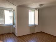 Single Wohnung in Top Lage in Krems