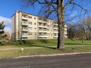 Singles aufgepasst!