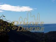 Singola in vendita a Caprezzo