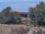 Sintra Lisboa 68369915