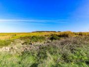 Sintra Lisboa 87738322