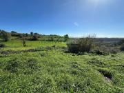 Sintra Sintra 2705 836 98333153