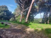 Sintra Sintra 90997462