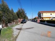 Sintra Sintra 93571526