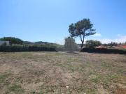 Sintra Sintra 93982743