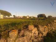 Sintra Sintra 99489773