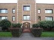 Sir Lancelot Studio Sir Lancelot Studio