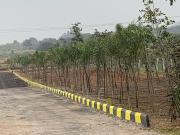 Siri Vanam 235 Sq.Yd. Plot in Patancheru Shankarpalli...