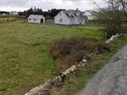 Site At Boleybeg East, Barna, Co. Galway