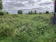 Site B Cregmore, Claregalway, Galway Long&Co 4937...