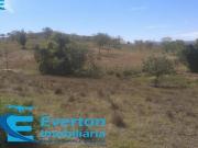 Sitio 21 hectares em Sete Lagoas MG fazenda moradia lazer