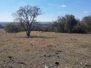 Sitio 31 Alqueires Formada em Pasto Atualmente na...