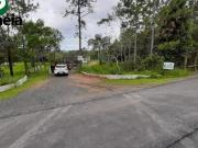 Sitio 3,50 alqueires Cananéia / SP disponível para venda