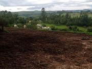 Sítio 6 Alqueires,Casa Sede Avarandada,Casa...