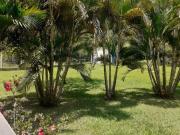 SITIO 8,5HA EM ARANHA BRUMADINHO MG