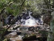 SITIO 9.5 ALQUEIRES BAIRRO CAMPESTRE PINHALZINHO/ PEDRA...