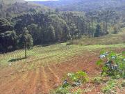 Sítio à venda, 120000 m² por R$ 1.600.000,00 Paiol...