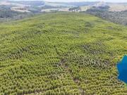 Sítio à venda, 1815000 m² por R$ 12.000.000 Vila Sao...