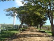 Sítio à venda, 290400 m² Caiacatinga Itu/SP