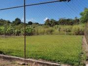 Sítio à venda, 5 quartos, 1 suíte, 5 vagas, BONANZA...