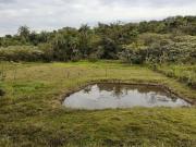 Sítio a venda Campo Alegre, Esmeraldas