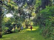 Sítio à venda com 100.000 m² no bairro Moinho, em Campo...