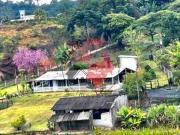 Sítio à venda com 65.000m² no bairro Iara em Atibaia...
