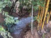 Sitio a venda com sede, muita agua, 24 alqueires na Zona...