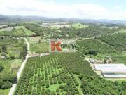 Sítio à Venda em Biritiba Mirim com Produção de Caquis