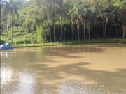 Sítio à venda em Cabreúva SP a 50 km de São Paulo...