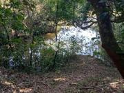 sítio à venda em Centro