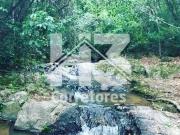 sítio à venda em Colina dos Pinheiros