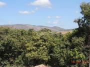 sítio à venda em Pacheco