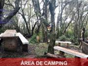 Sítio à venda em Sentinela do Sul RS, bairro Cerro...