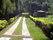 Sítio á venda, Mairinque, 03 quartos