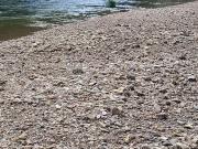 SÍTIO BEIRA RIO NA CHAPADA DOS VEADEIROS