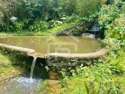 Sitio, Belíssimo Sitio Com Lago, São Lourenço da Serra, SP
