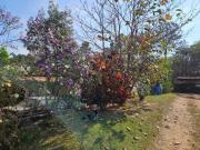 Sítio c/27.000 m2 em Indaiatuba