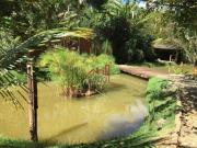 Sítio Casa 04 quartos Vespasiano/MG. Venda