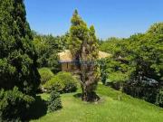 Sítio / Chácara para Locação em Campinas/SP Sousas 9 Quartos