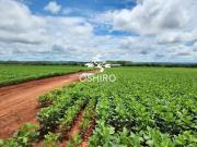 Sítio / Chácara para Venda em Água Boa/MT Zona Rural