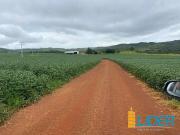 Sítio / Chácara para Venda em Água Fria de Goiás/GO Zona...