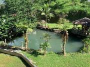 Sítio / Chácara para Venda em Águas Mornas/SC Vargem...