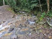 Sítio / Chácara para Venda em Alfredo Wagner/SC Zona...