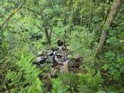 Sítio / Chácara para Venda em Almirante Tamandaré/PR...