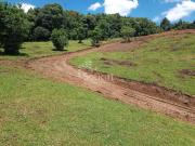 Sítio / Chácara para Venda em Almirante Tamandaré/PR...
